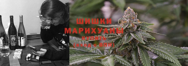 mix Алексин